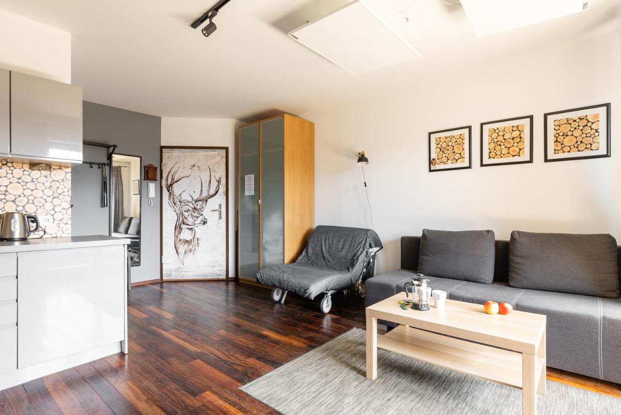 Apartamenty Kierpcowka زاكوباني المظهر الخارجي الصورة